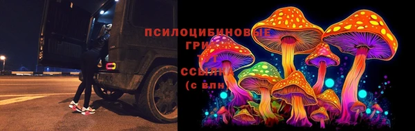 spice Богородицк