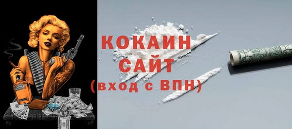ешки Корсаков