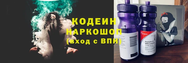 ешки Корсаков
