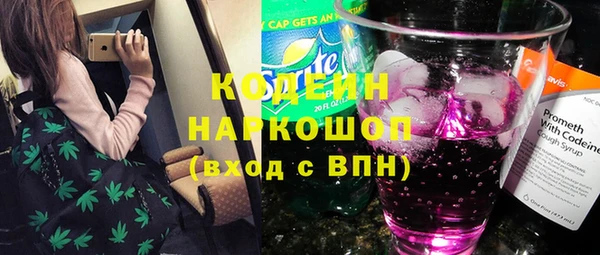 ешки Корсаков