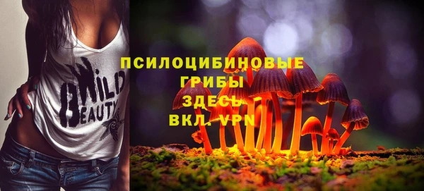 герыч Коряжма