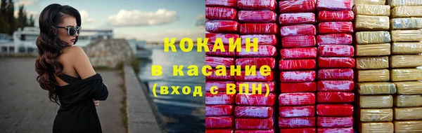 ешки Корсаков