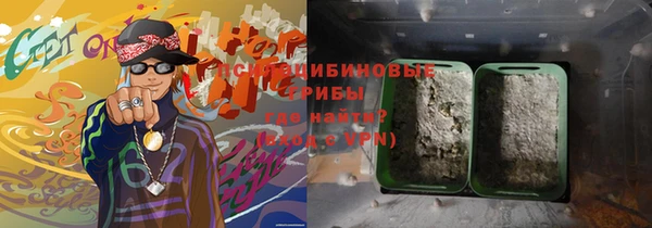 ешки Корсаков