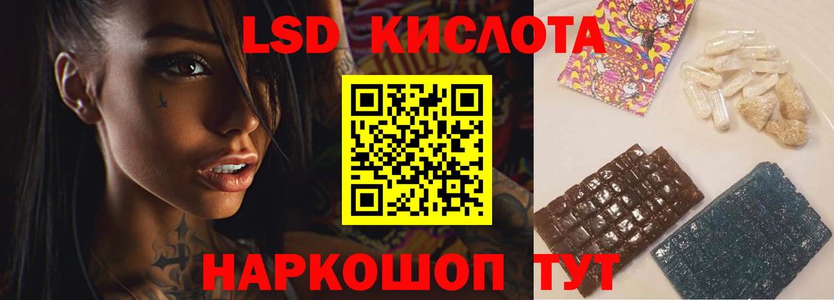 Псилоцибиновые грибы Красноярск