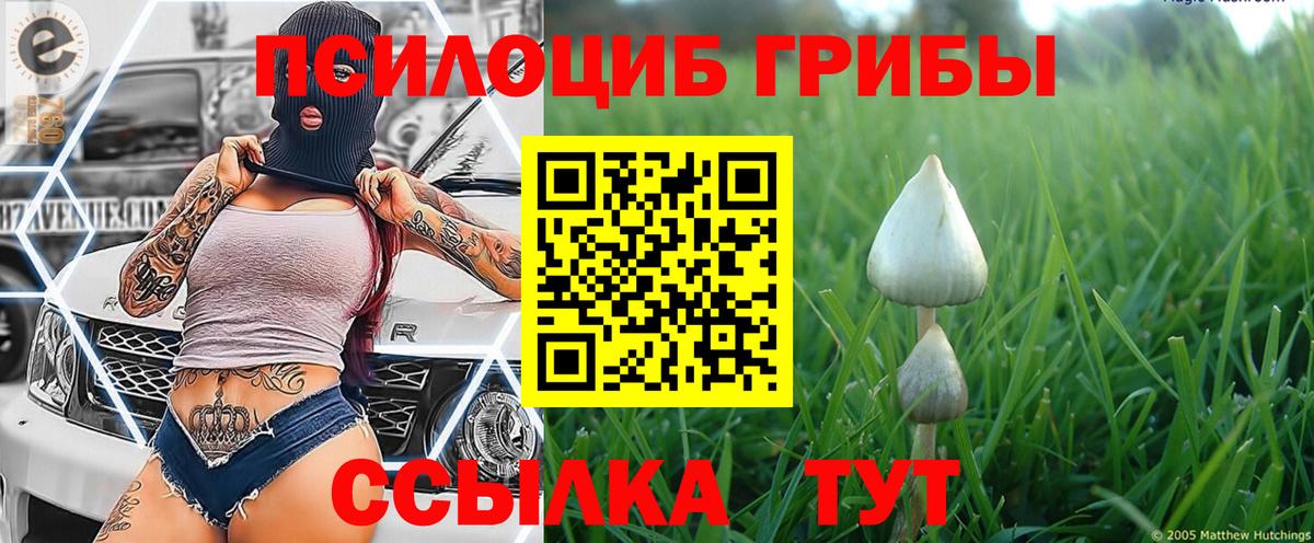 как найти наркотики  Красноярск  Галлюциногенные грибы прущие грибы 