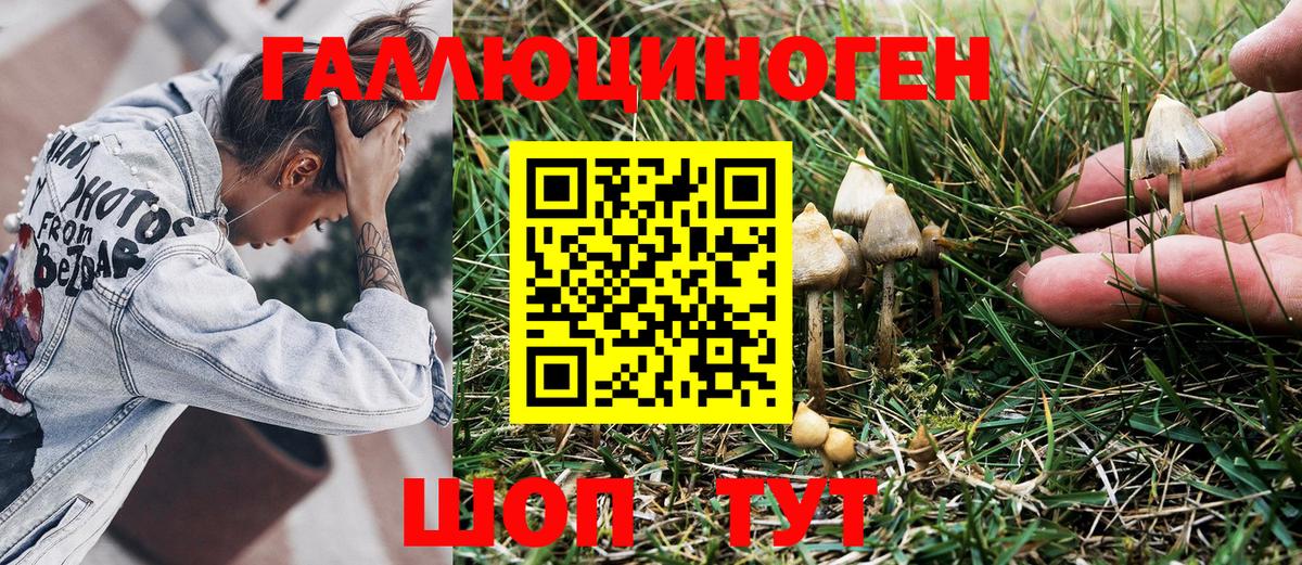 Псилоцибиновые грибы мухоморы Красноярск