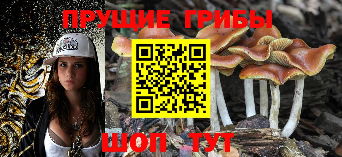 Галлюциногенные грибы Magic Shrooms Красноярск
